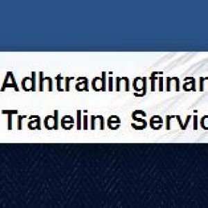 ADH Trading Financials